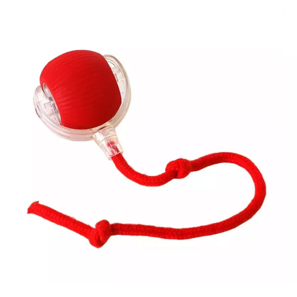 Brinquedo Automático para pet