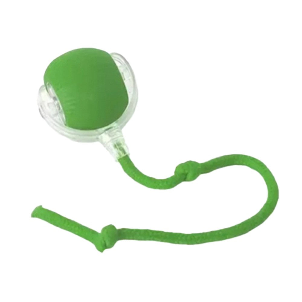 Brinquedo Automático para pet