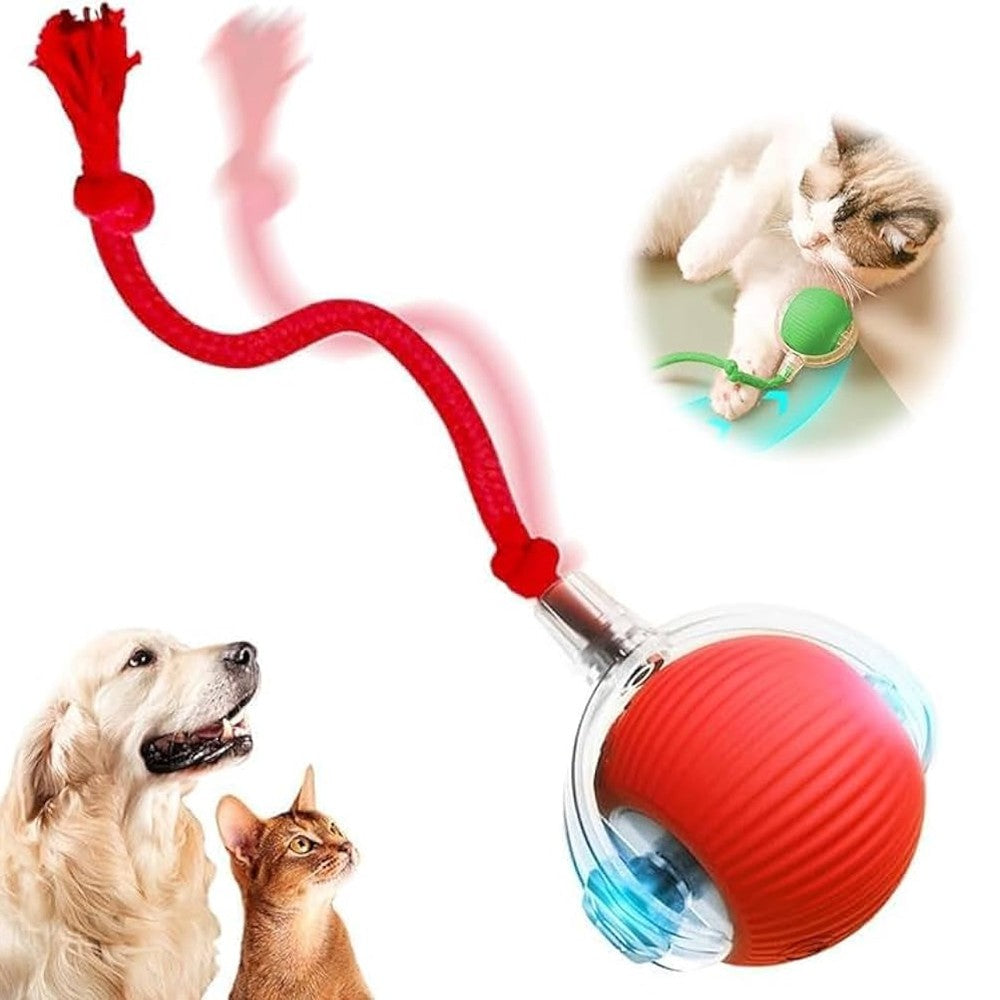Brinquedo Automático para pet