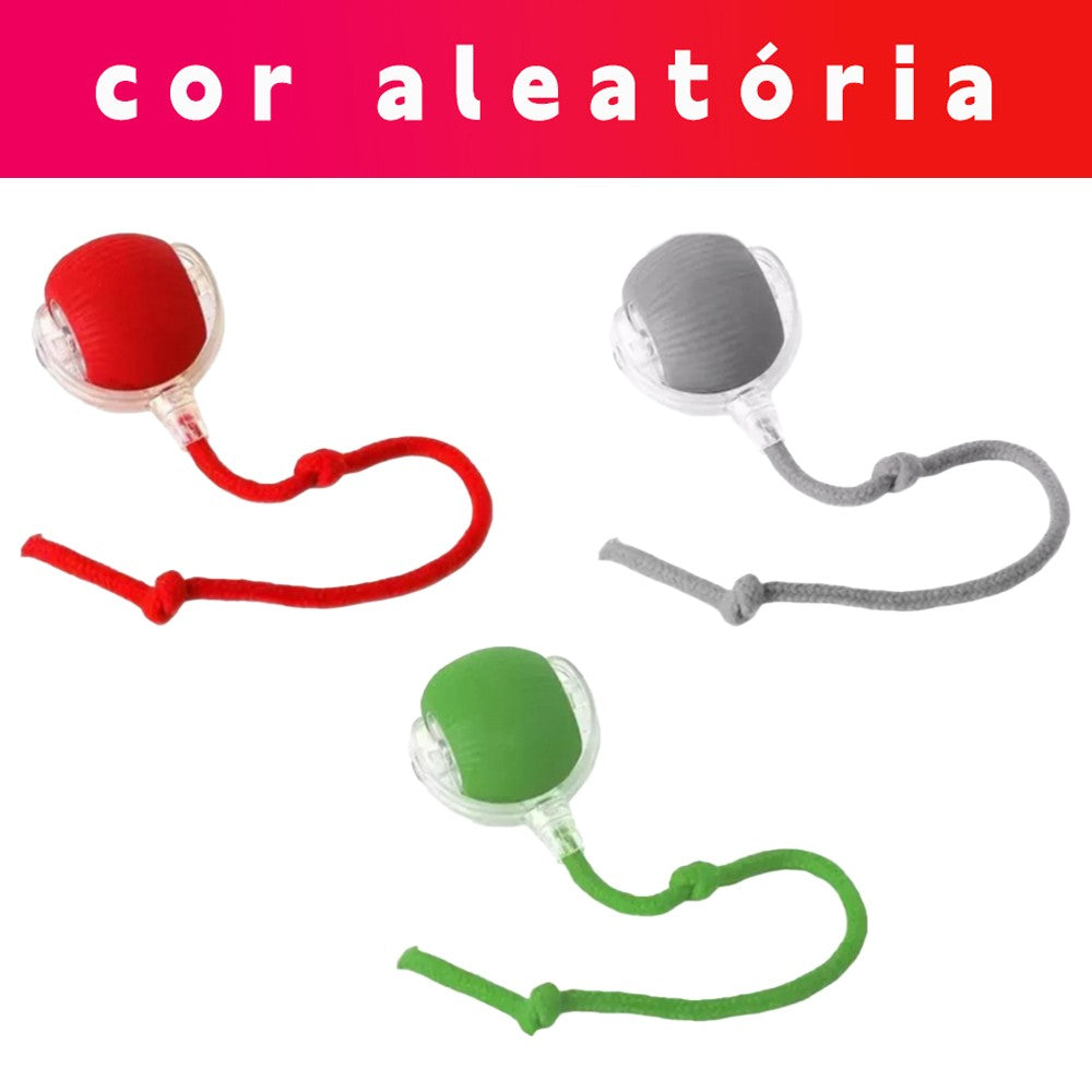 Brinquedo Automático para pet